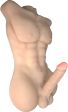 torso maschile